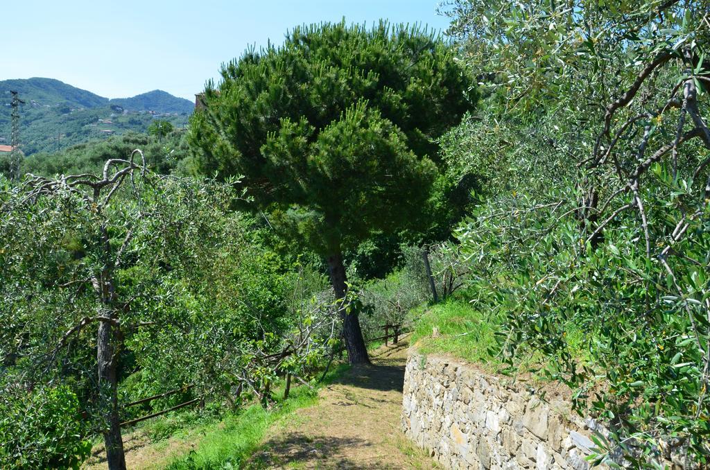 Villa Delle Rose Chiavari Exteriör bild